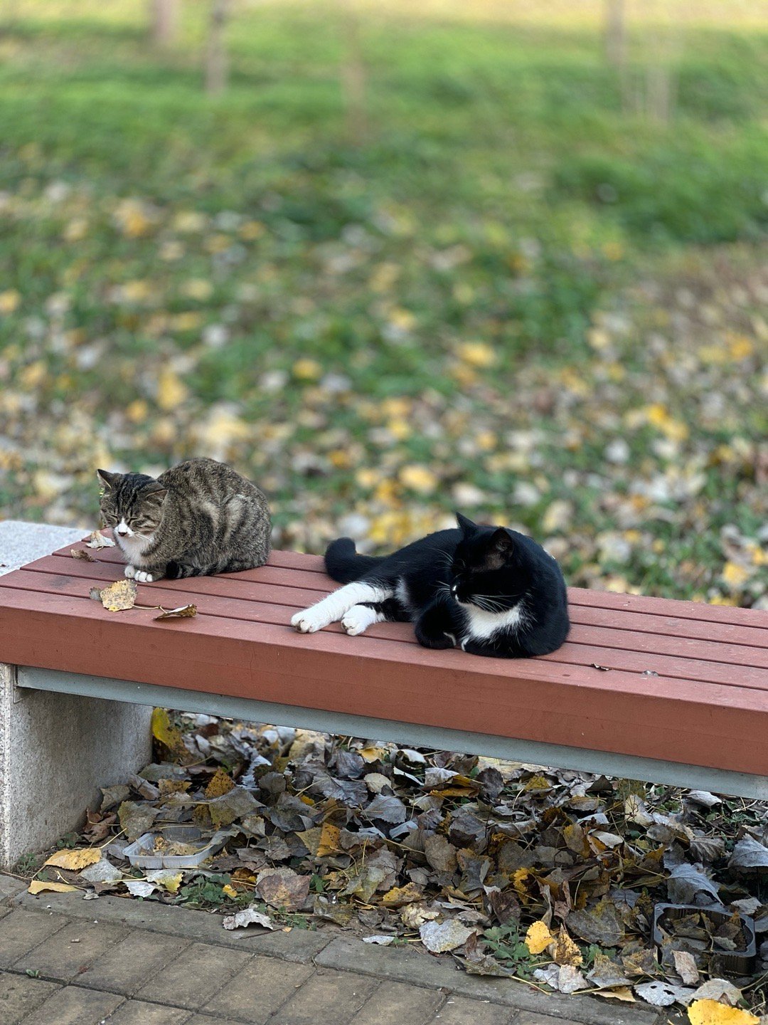 一张床两个人睡。落日余晖当棉被