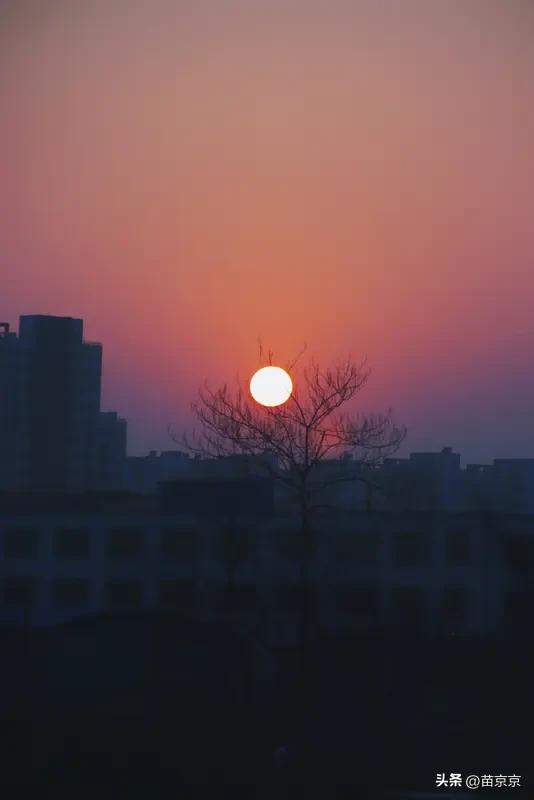 被这场落日狠狠治愈了。
整个天空都是暖暖的橘色，
看着太阳一点点沉下去，
一天的