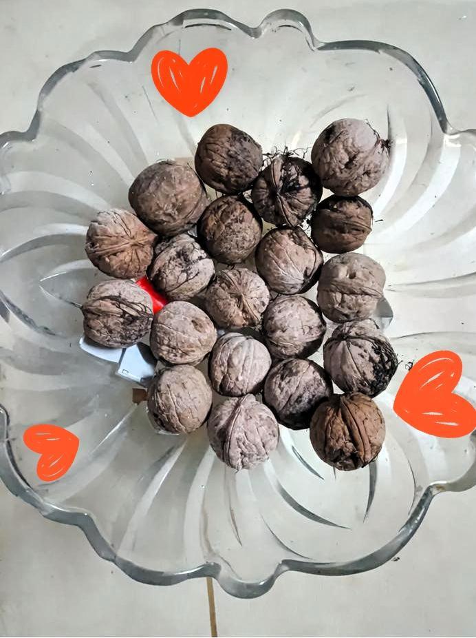 我说咱这糖盆可真是“挂羊头卖核桃”啊！本来以为伸手抓颗糖，结果摸了一手硬邦邦的核