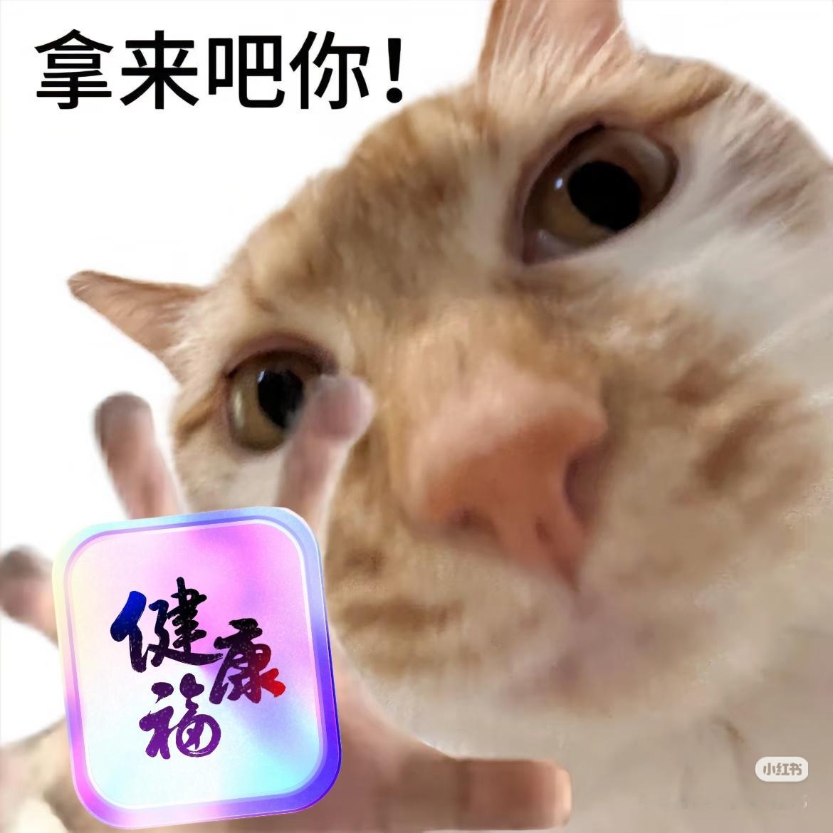 五福的第一笔钱到账了 健康这一块，咱就是说，红包多少已经无所谓了！健康福必须领到