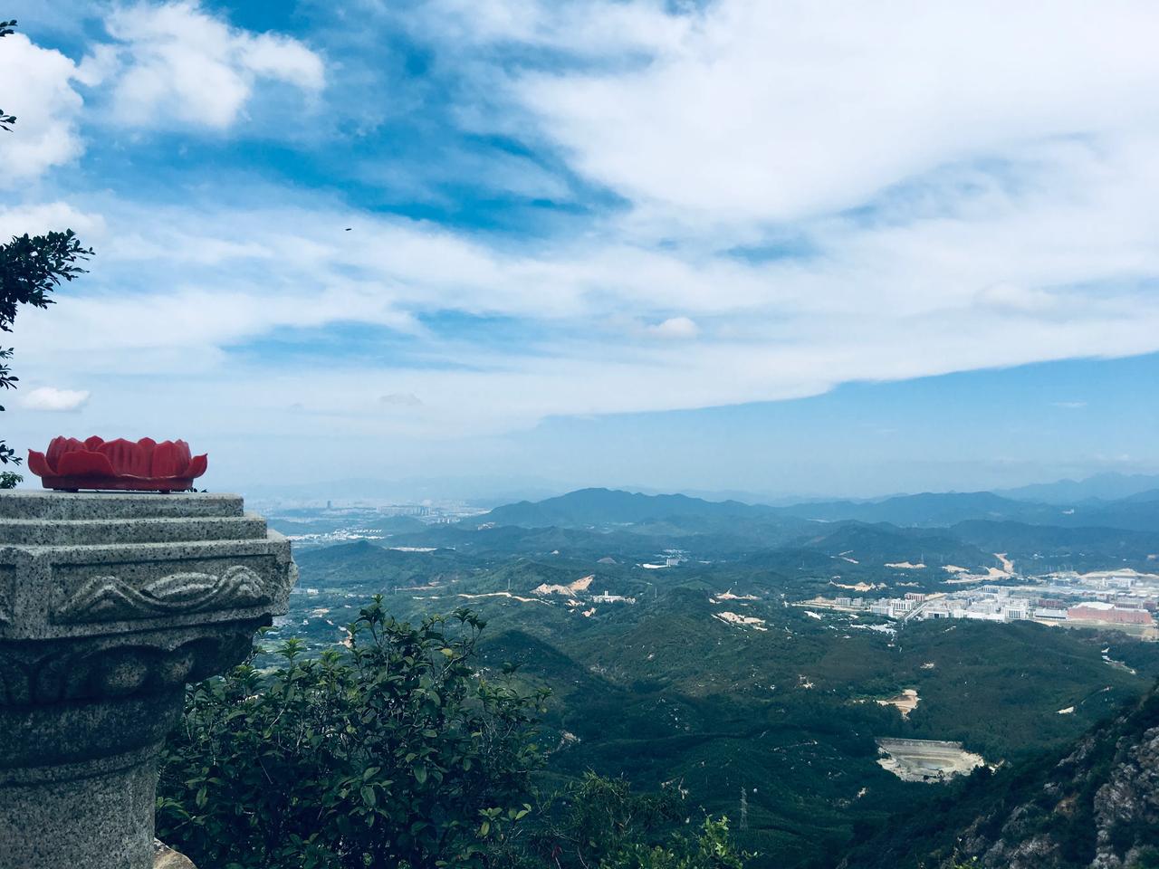 天变地变老鼠也变[耶]好可怕！
到底是人为因素还是环境影响造成，应该查明原因，才