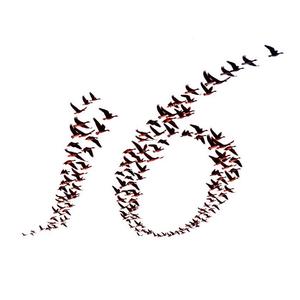 十六年真诚教育