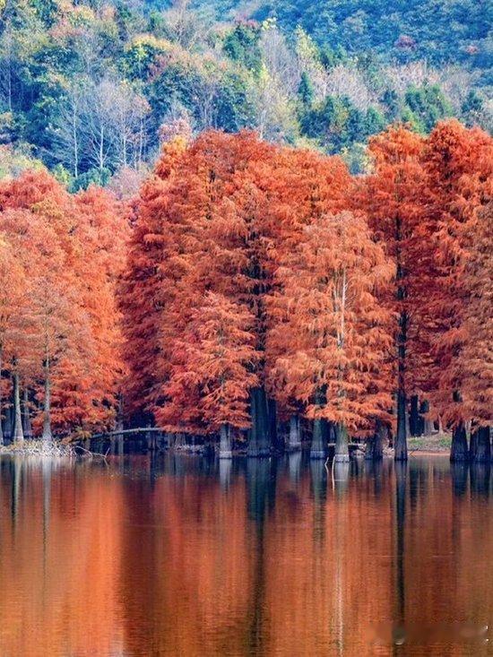 总有人喊着人生苦短，要及时行乐，转头就被房贷车贷压得喘不过气；
也有人劝你放下执