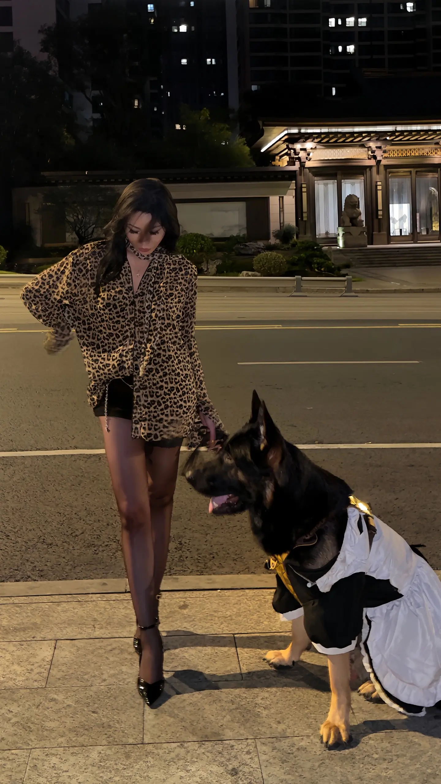 【德牧·巴克】你们养的都是什么宠物·可爱？ 帅气？