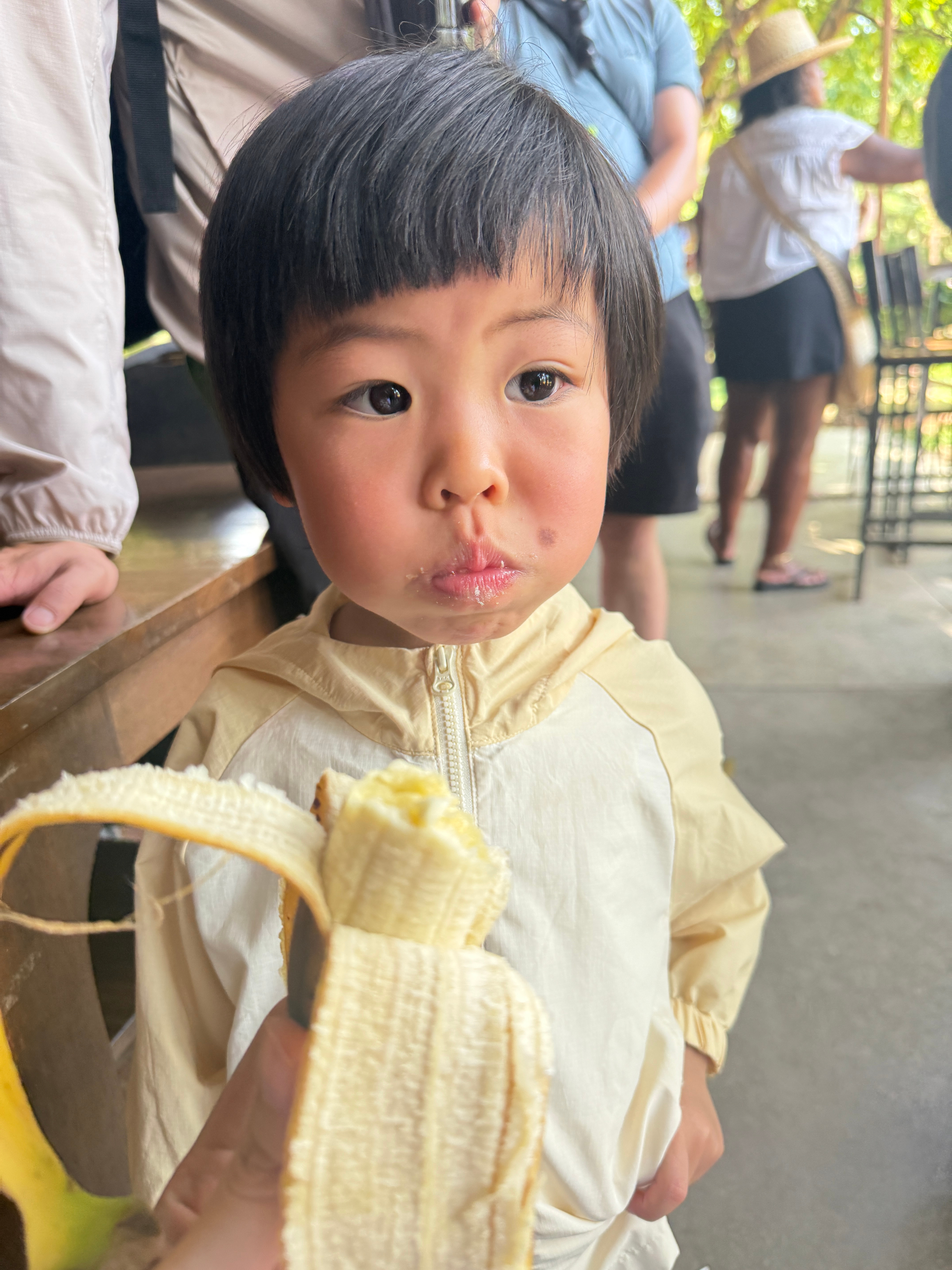 听说大象喜欢吃香蕉小素旅毛球清迈行