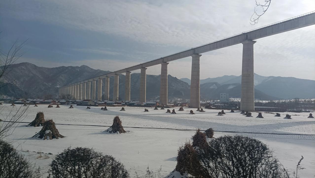 #今年春节有什么计划#《今年春节我的计划》
 
春节是中国最重要的传统节日之一，