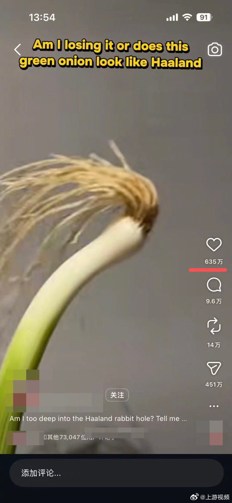 #哈兰德翻牌的哈兰葱竟是蒜苗#【浏览量破亿哈兰德本尊回复！爆火的“哈兰葱”竟是重