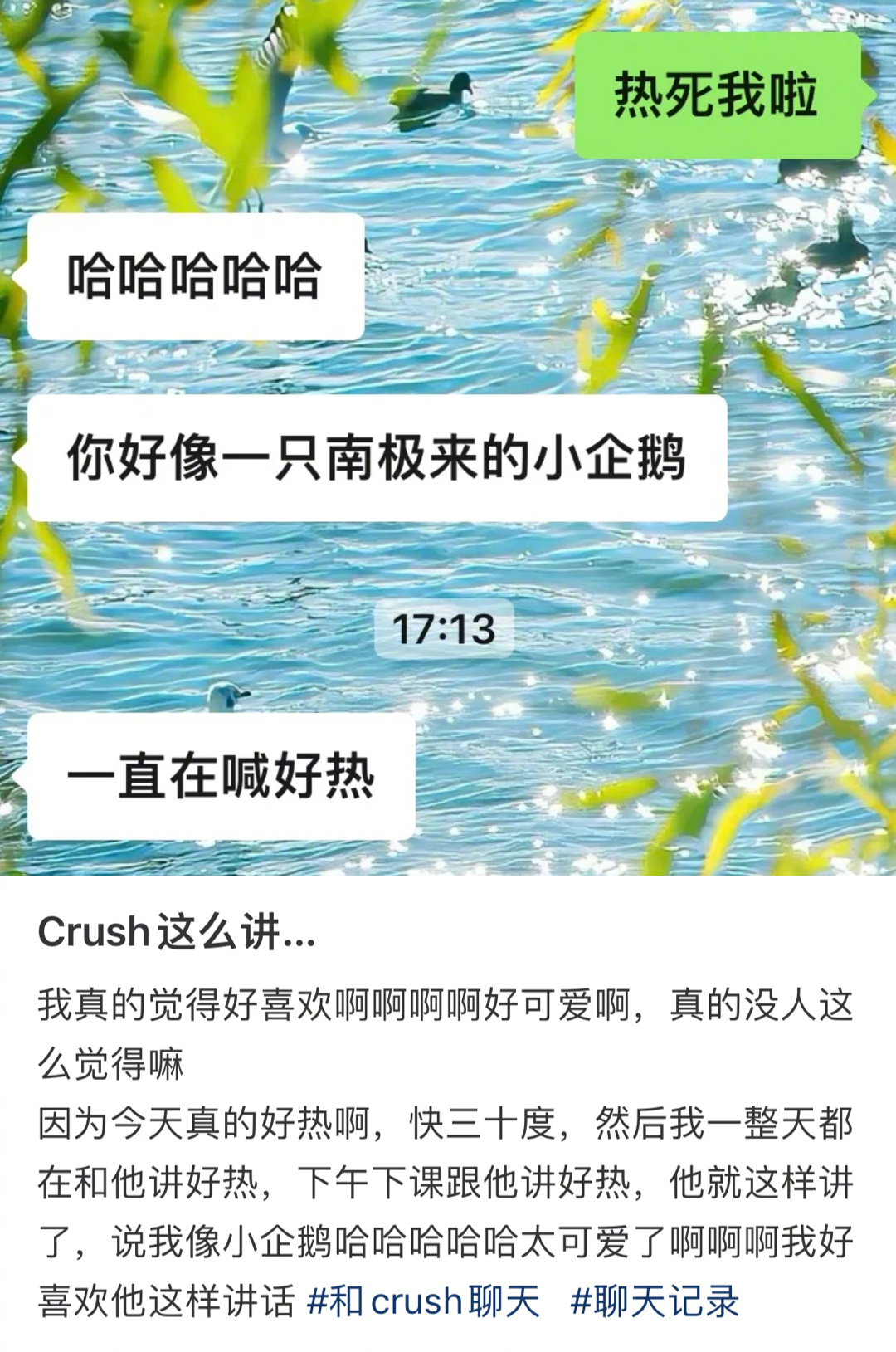 crush说我像一只小企鹅耶 ​​​