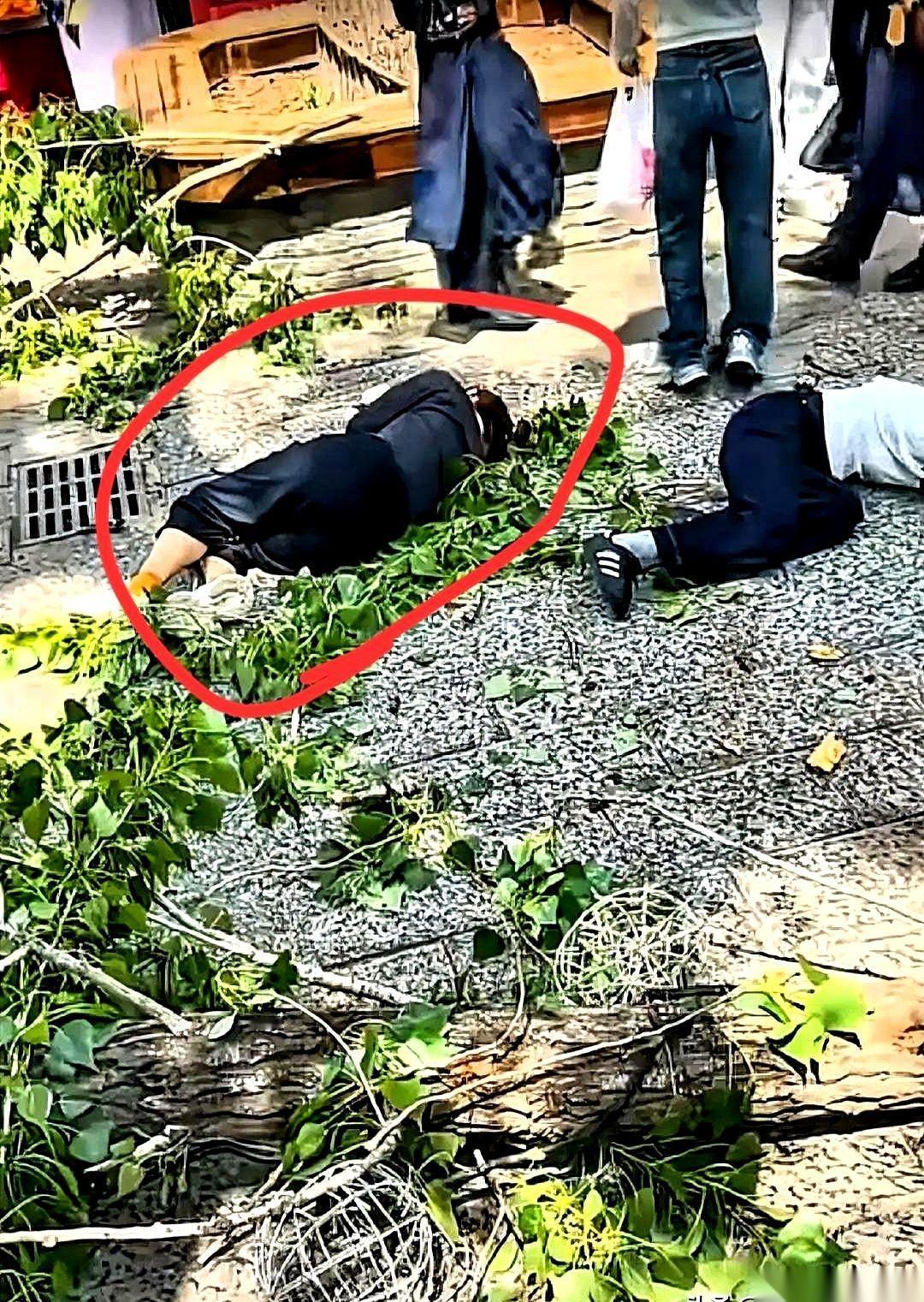 开封万岁山景区的武侠梦，被一根毫无征兆砸下的枯树枝，瞬间砸了个粉碎。
当时，几个