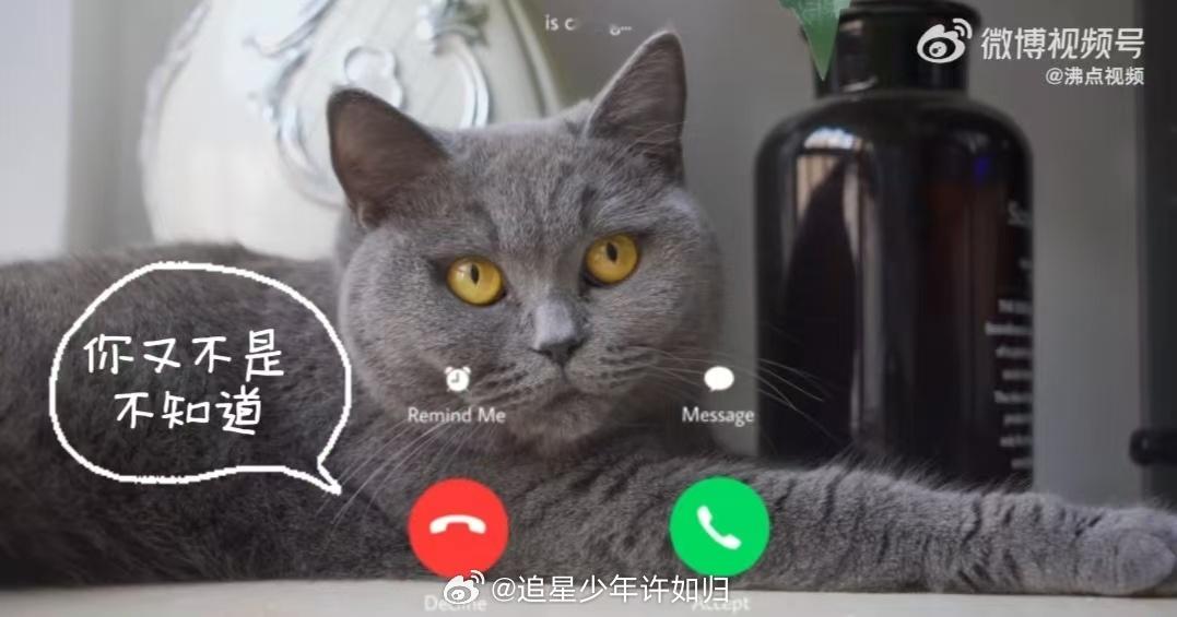 约会不迟到的秘密 之前开新车的时候，我就觉得停车是特别的麻烦的一件事情，但是自从