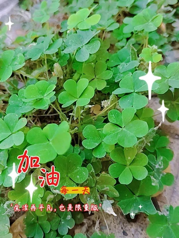 夏天防暑降温实用技巧？
 
① 多喝淡盐水比光喝白水管用。
天热出汗多，不光是缺