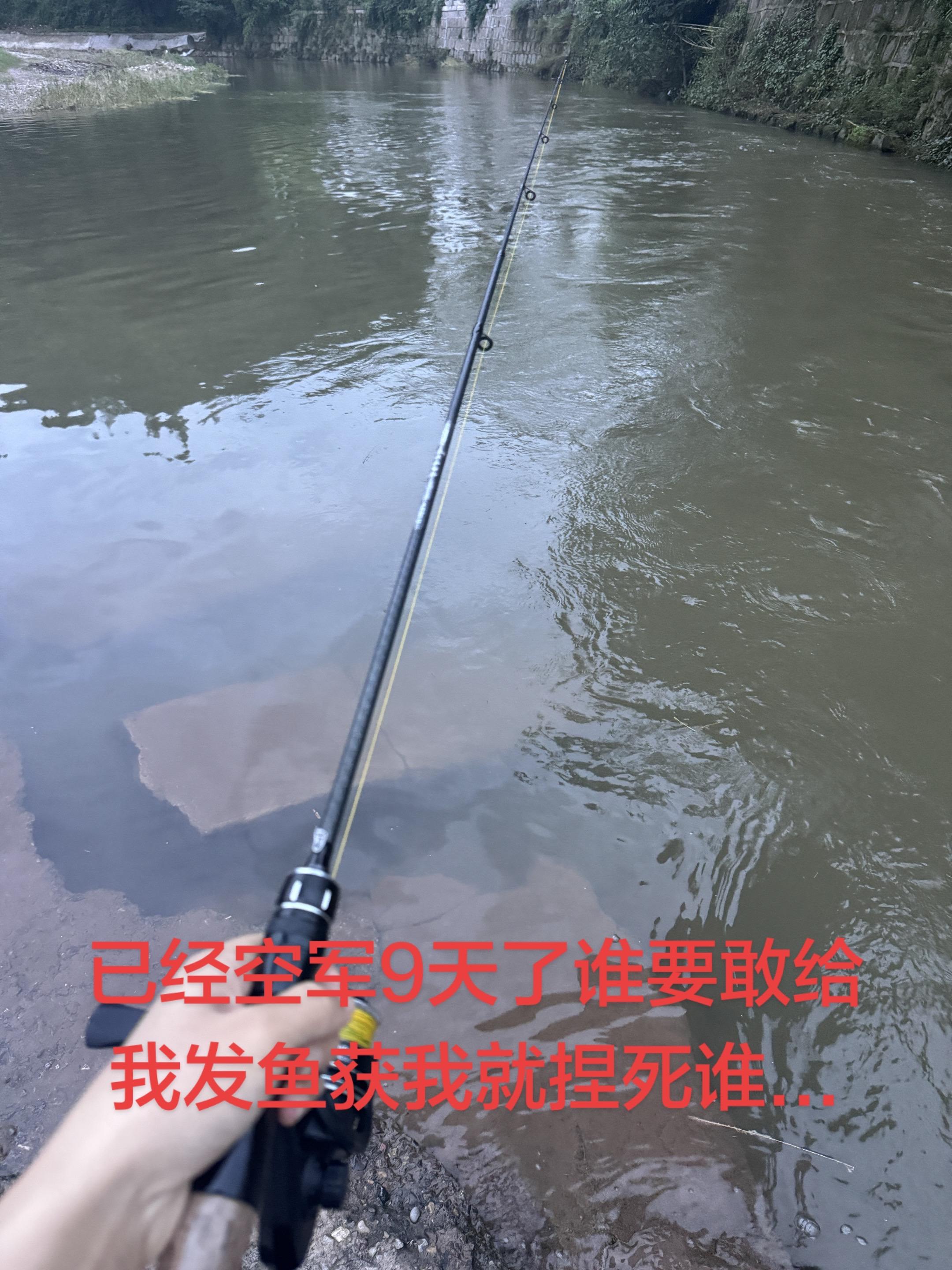 已经空军9天了谁要敢给我发鱼获我就捏死谁...