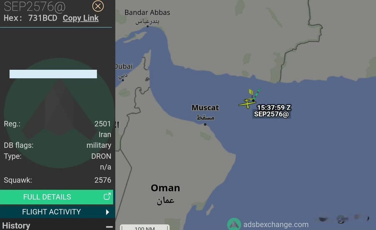 ADS-B ex 网站显示：又一架伊朗无人机（显然是另一架） ADS 信号正在阿