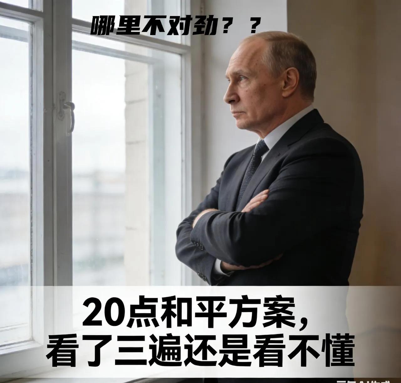 28点和平计划应该是俄罗斯向特朗普表的态，普京很狡猾交给美国由美方给乌克兰，让特