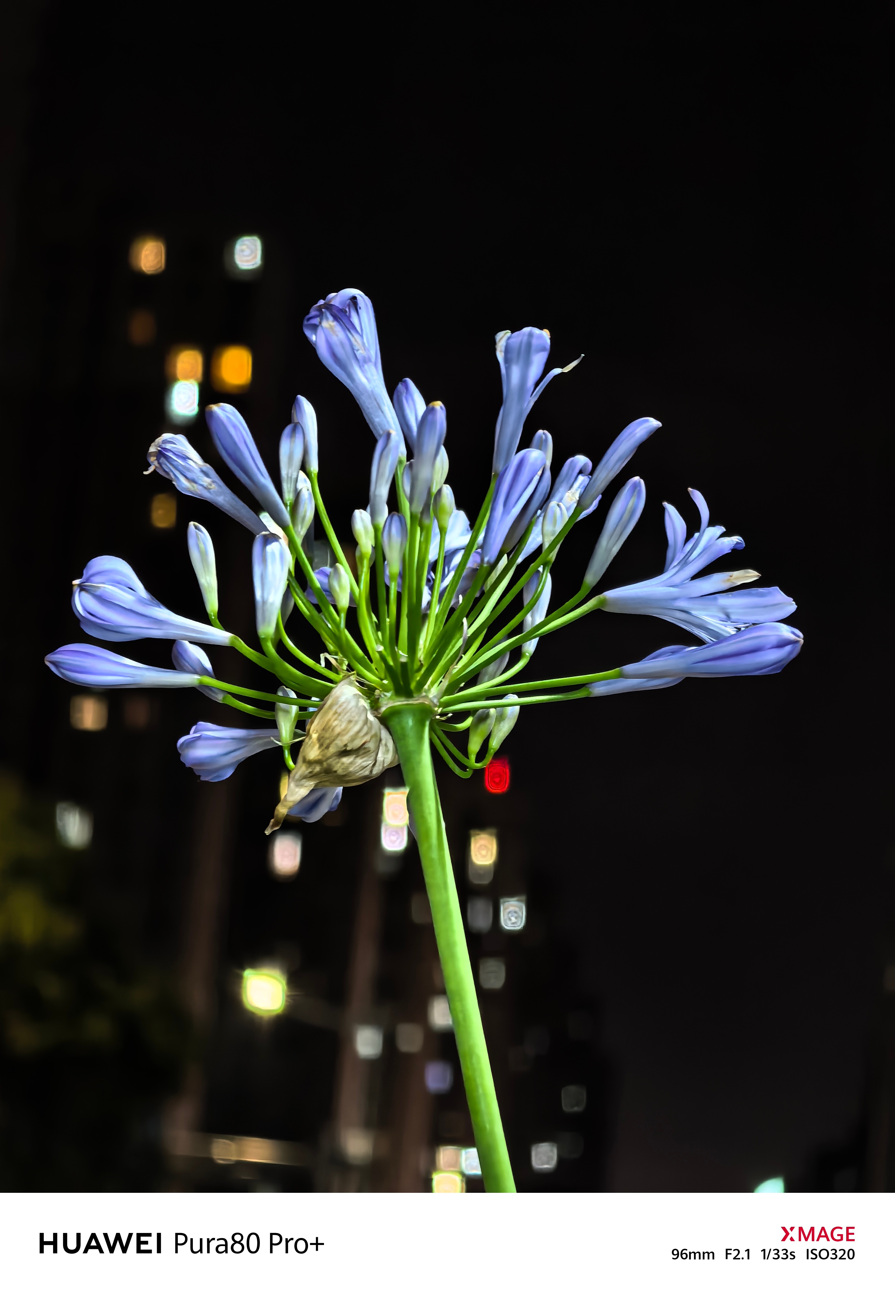 华为 Pura80 Pro+夜景真强，日常逛街看到的场景，没有特意找好看的地方拍