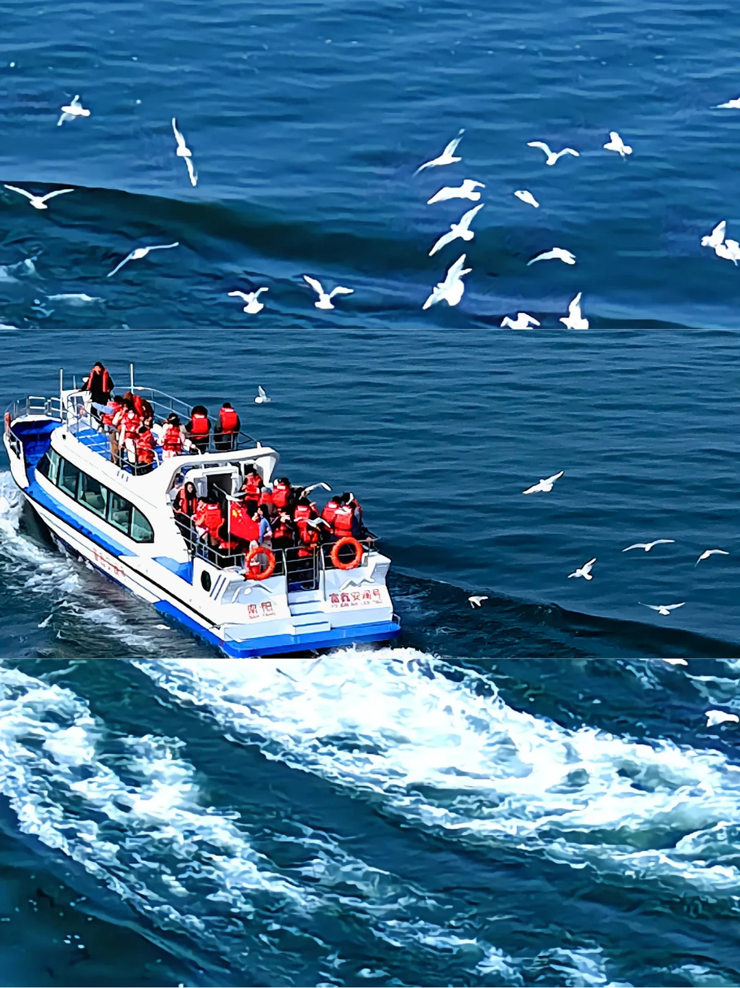 西安出发3天2晚｜丹江赴“海”之约✨