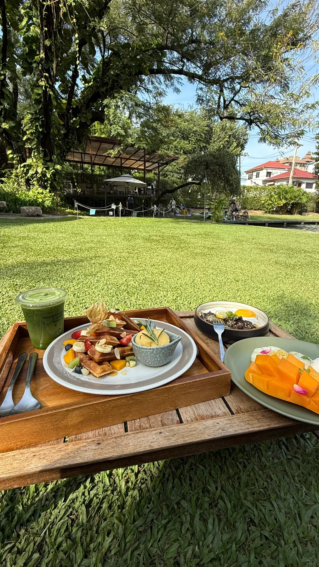 🇹🇭清迈能躺平一天的chill地儿…（5️⃣家测评