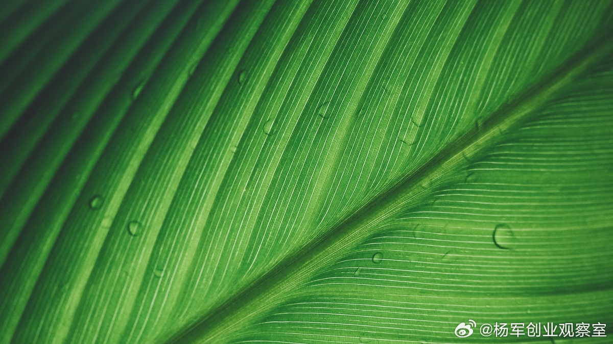 【公司证照返还纠纷：本质是控制权之争，核心是“公司意志”】公司证照（含执照、公章