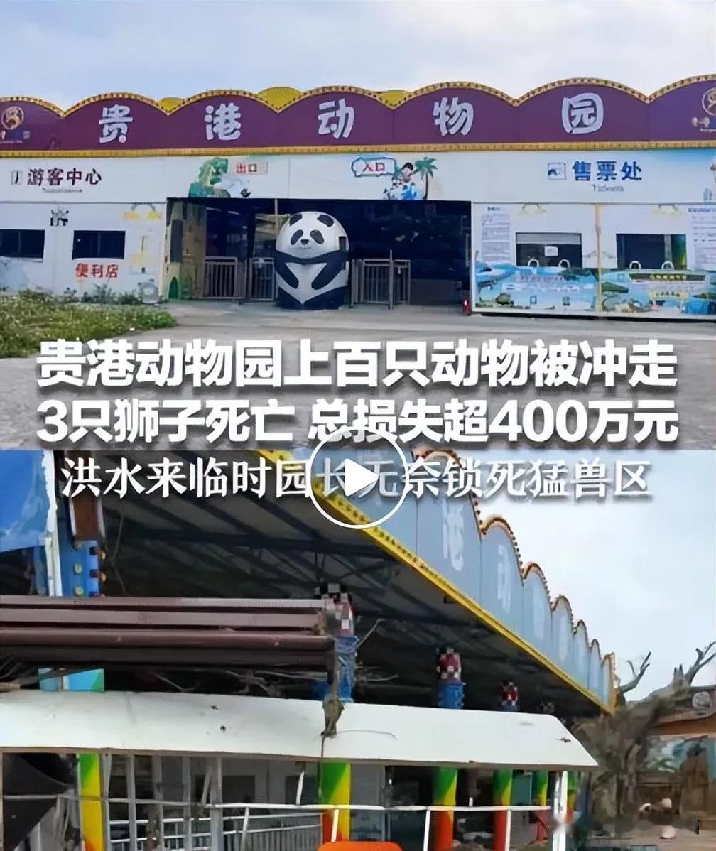 《锁笼护民反遭网暴，苛责动物园的人到底在想什么》
2026年7月6日凌晨，广西贵