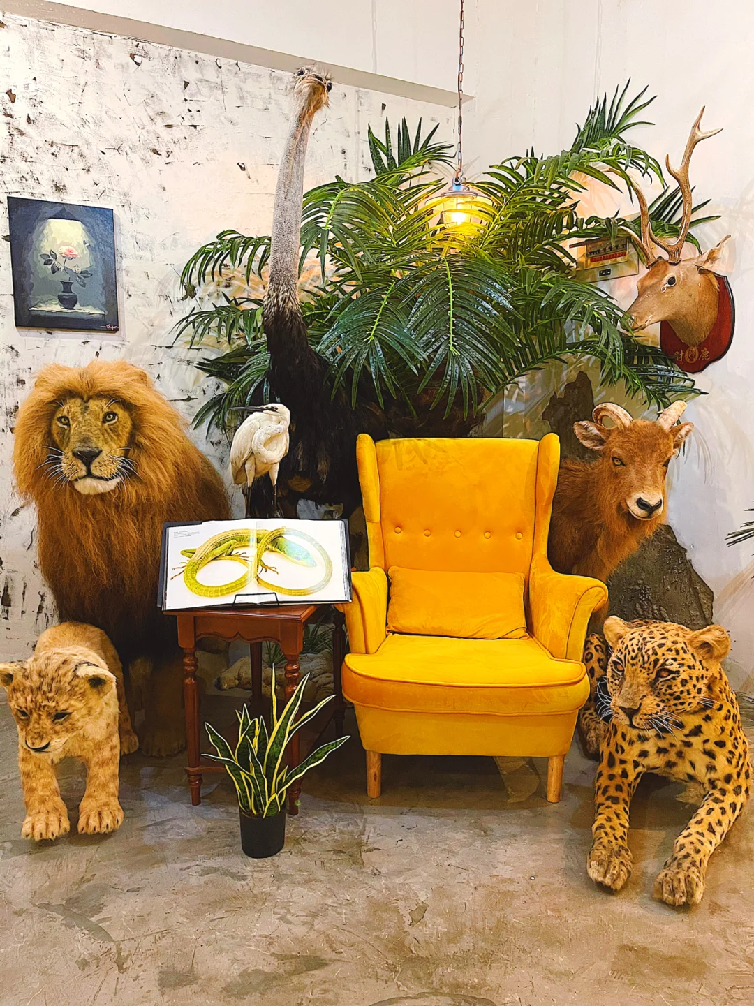 长沙民宿🔥200元住斥资100万的动物园民宿