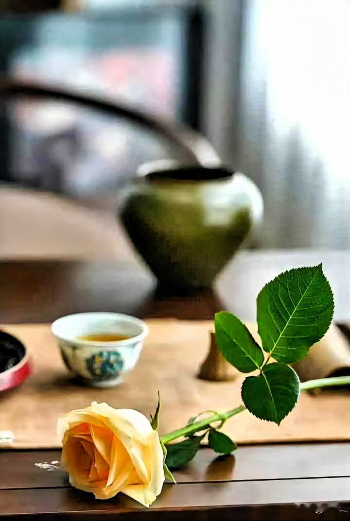小满·浅夏

小得盈满，便是最好。
一支玫瑰，一盏清茶，
把日子过成温柔的模样。