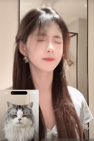 五官精致，笑容可掬，此猫甚好![大笑]