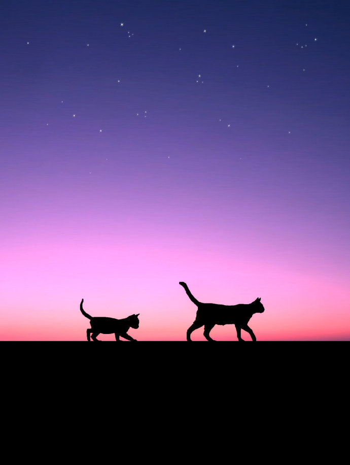 有哪些干净又治愈的句子？1.你就像是星夜，拥有寂静和群星。——聂鲁达2.我们走进