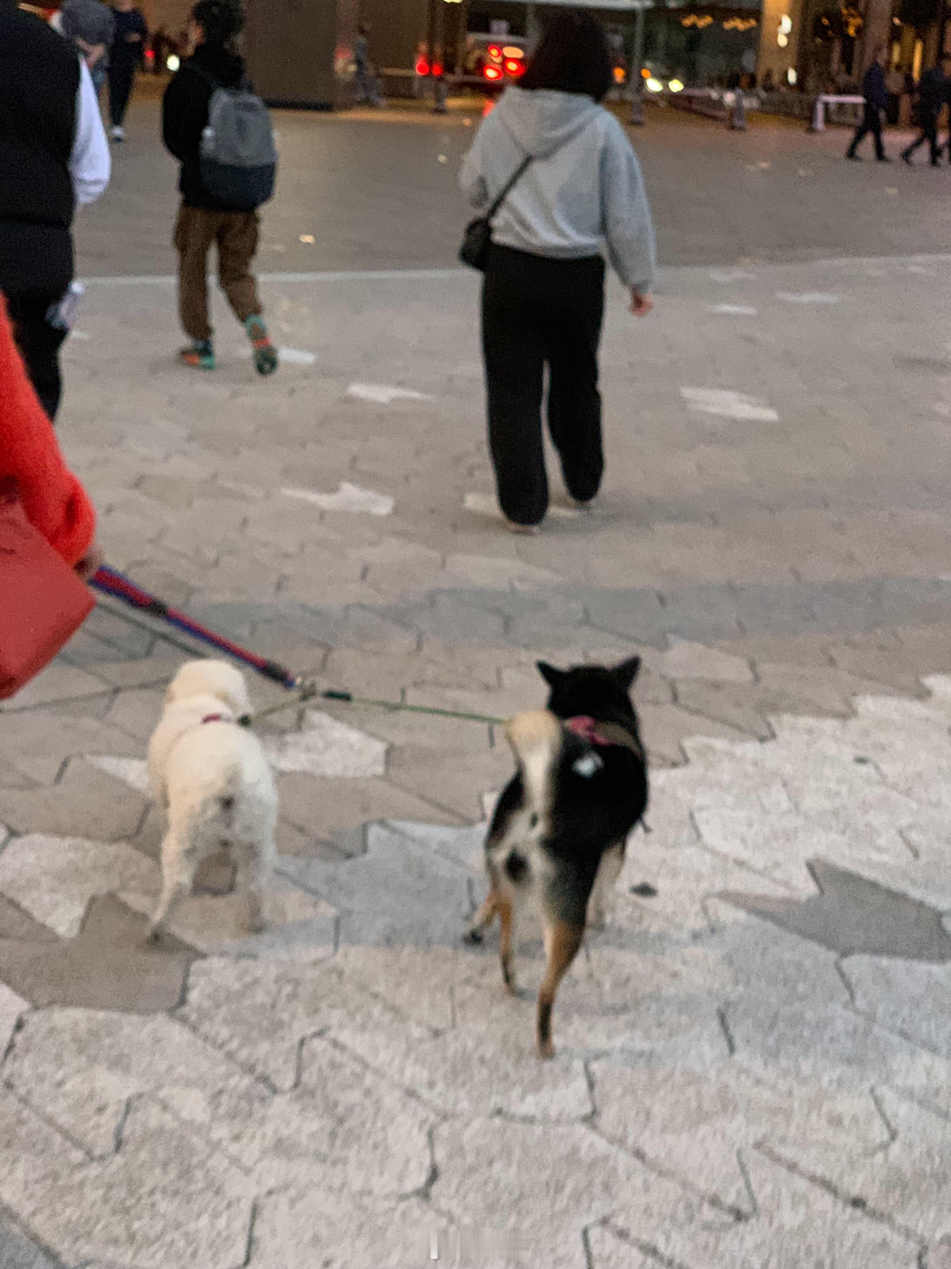 一些冬天的库存，随时随地大小拍，be water，my friend，爱你一万年