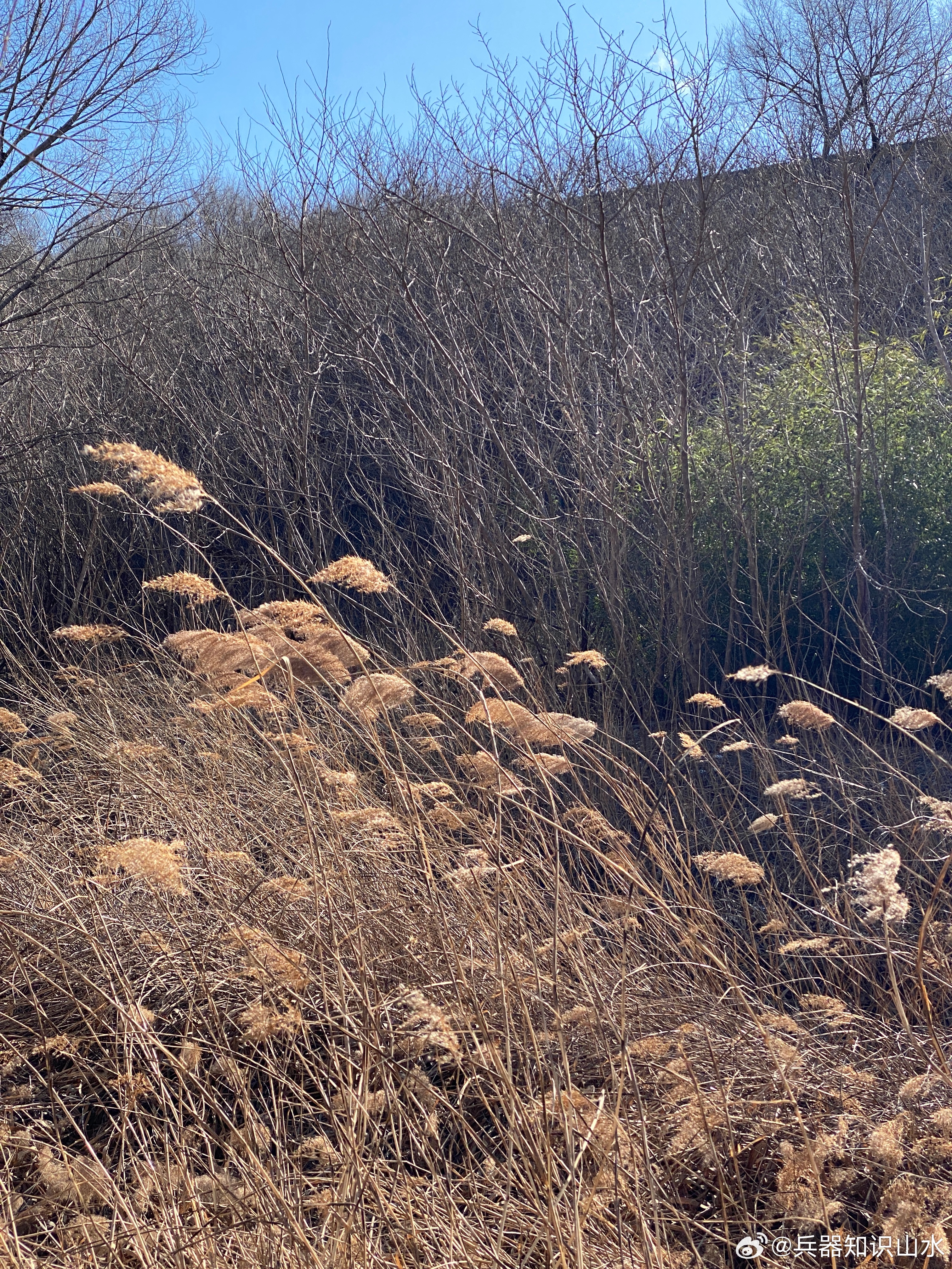 冬日的寒风和阳光中，弥漫着一份散淡、随意的心情，虽然有些冷。 