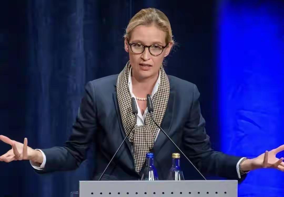 [吃瓜群众]在几万人的“围堵+抗议”中，德国选择党AFD“连夜”完成了代表大会—