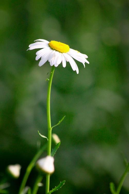 你知道女人最好的保养品是什么吗

女人最好的保养品，不是天价面霜，而是这三样东西