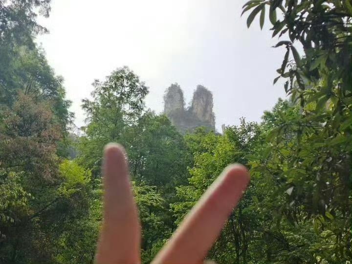 现在还在硬着头皮说果果0奢弟的不觉得自己很可怜么？卡地亚全球普通人的fans比个