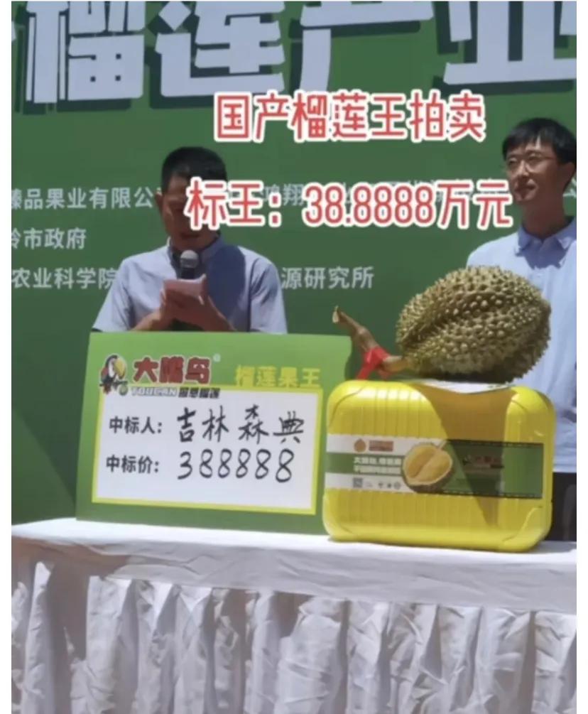 国产榴莲口碑真的会被搞烂。
挂果没几年品质都不稳定就在这里搞拍卖会，别什么东西都