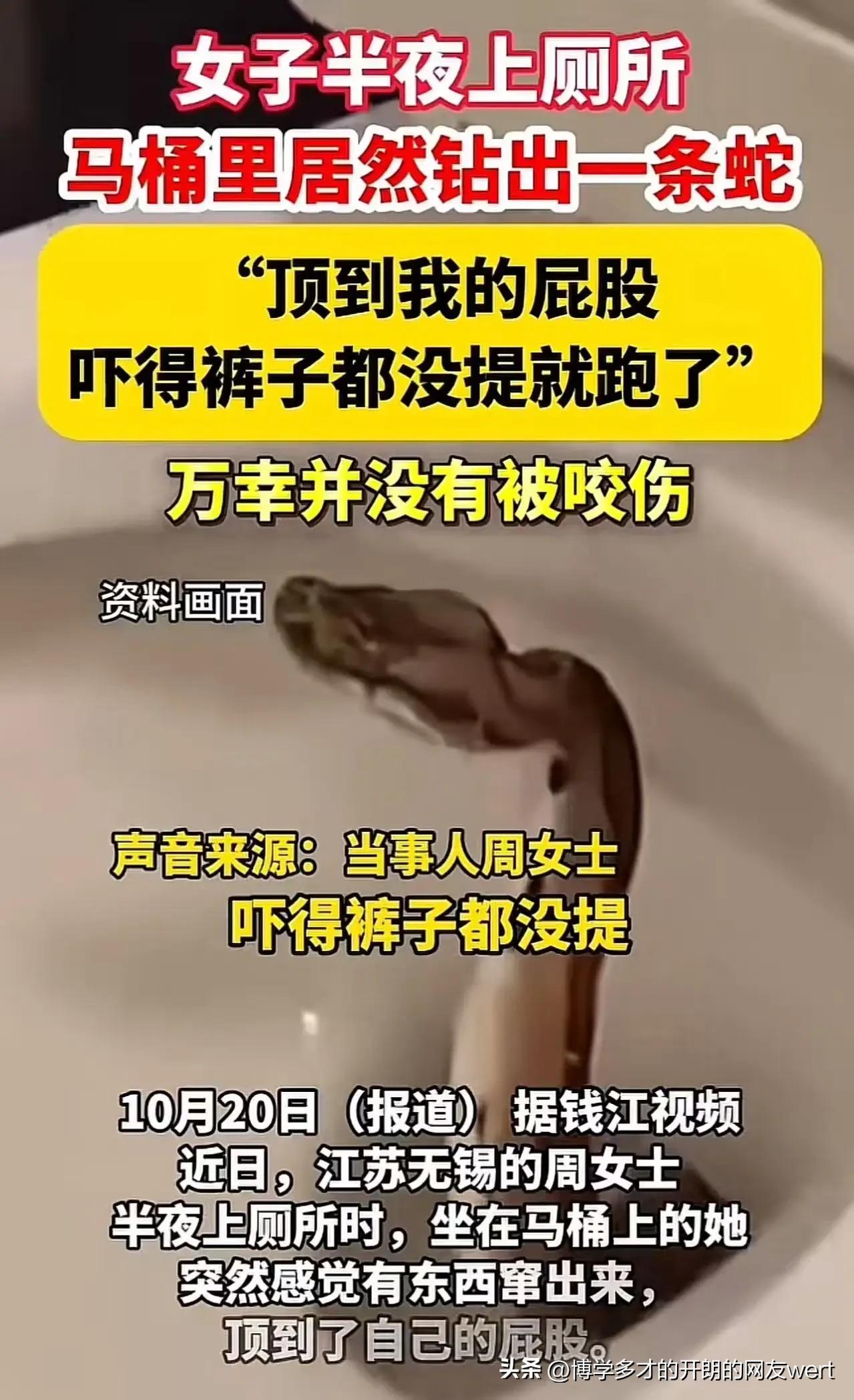 深夜惊魂！无锡，女子半夜上厕所，突然感觉有东西顶自己的“屁眼”，女子回头一看，吓