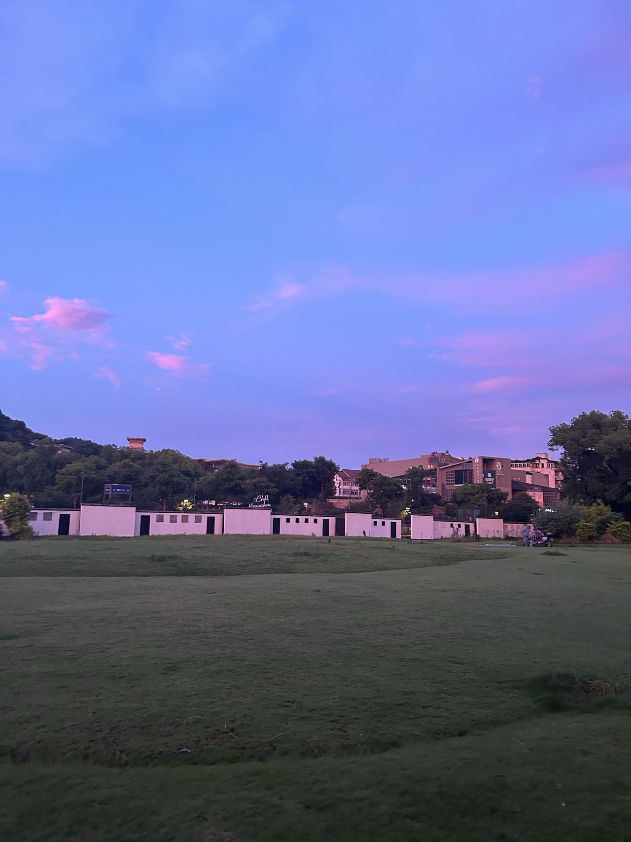 夏日生活打卡季