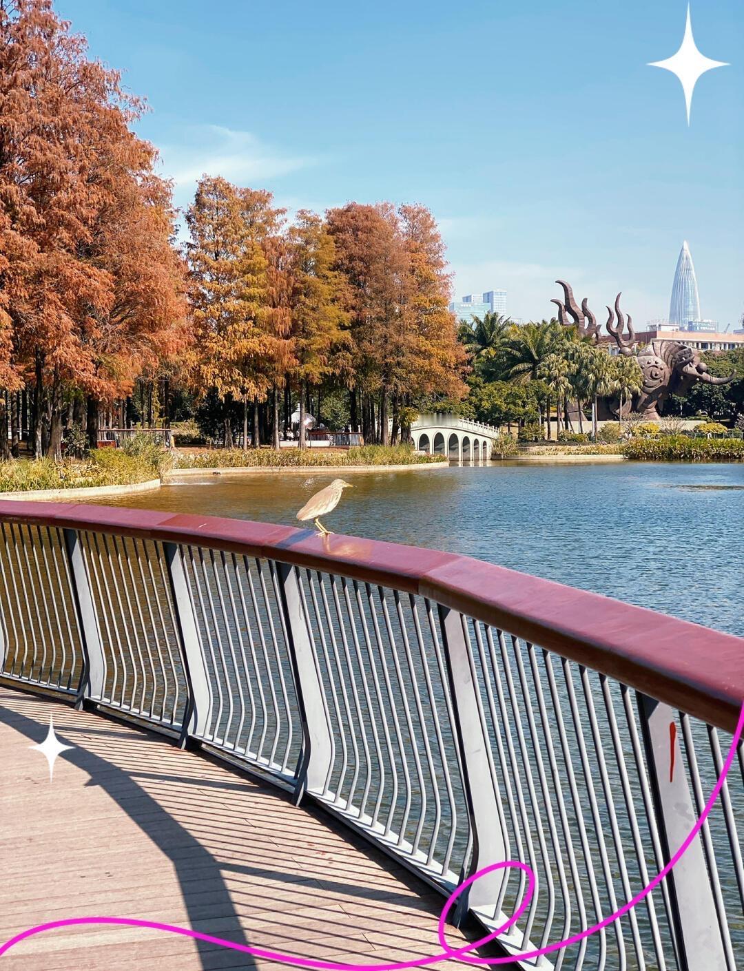 朋友不用多，三五知己胜万千

人这一辈子，会遇见形形色色的人，有的人擦肩而过，有