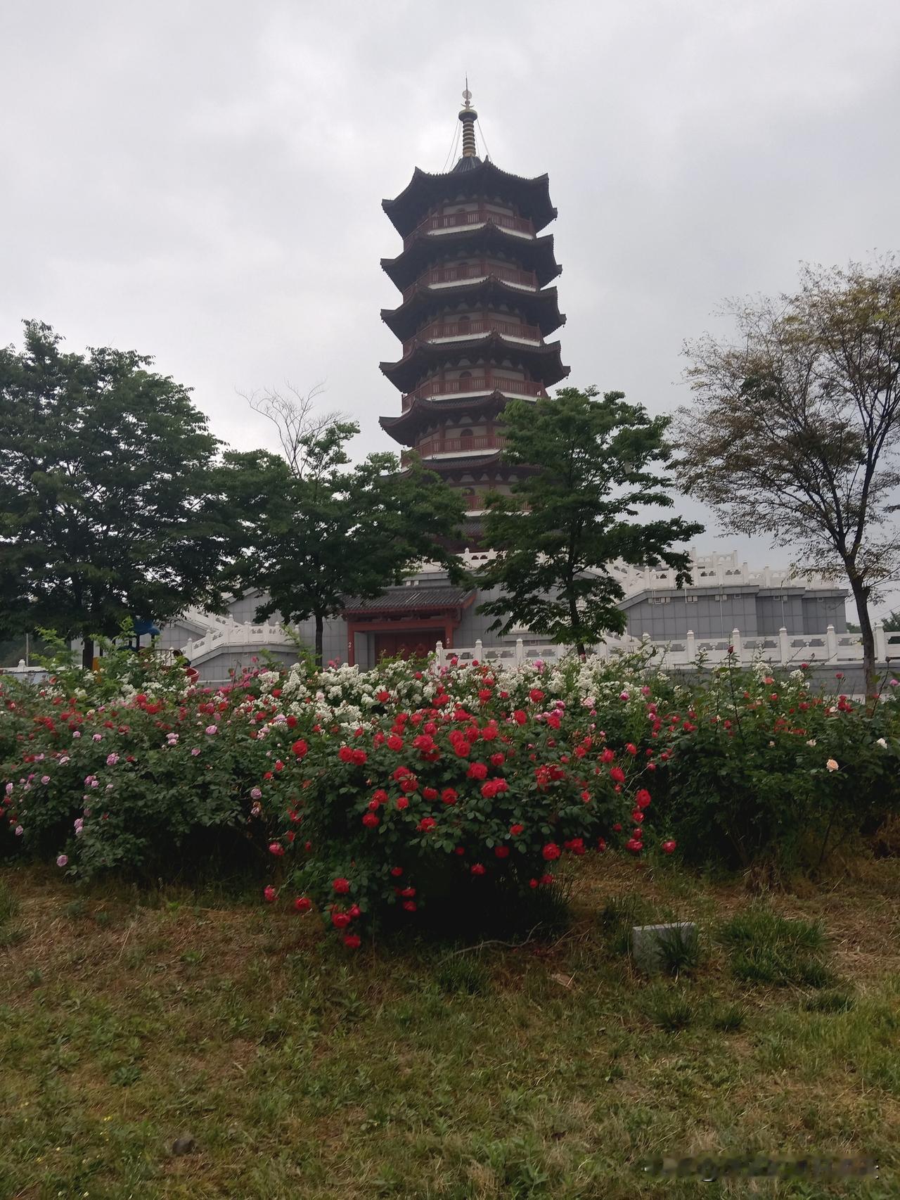 中秋真的是中国人骨子里最软的节日，没有春节挤着走亲戚的喧闹，也没有端午裹粽子挂艾