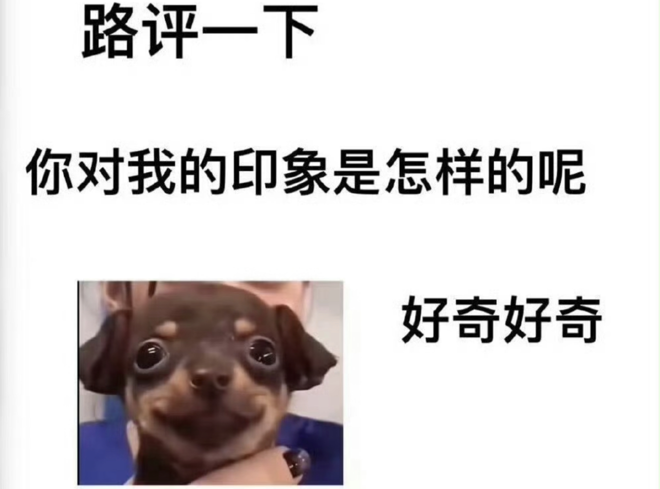 求求你们了我也想玩🥺🥺（糊了我就偷偷删掉假装无事发生。。。。 