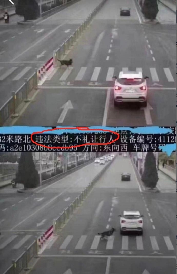 承包了一天的笑点～ ​​​