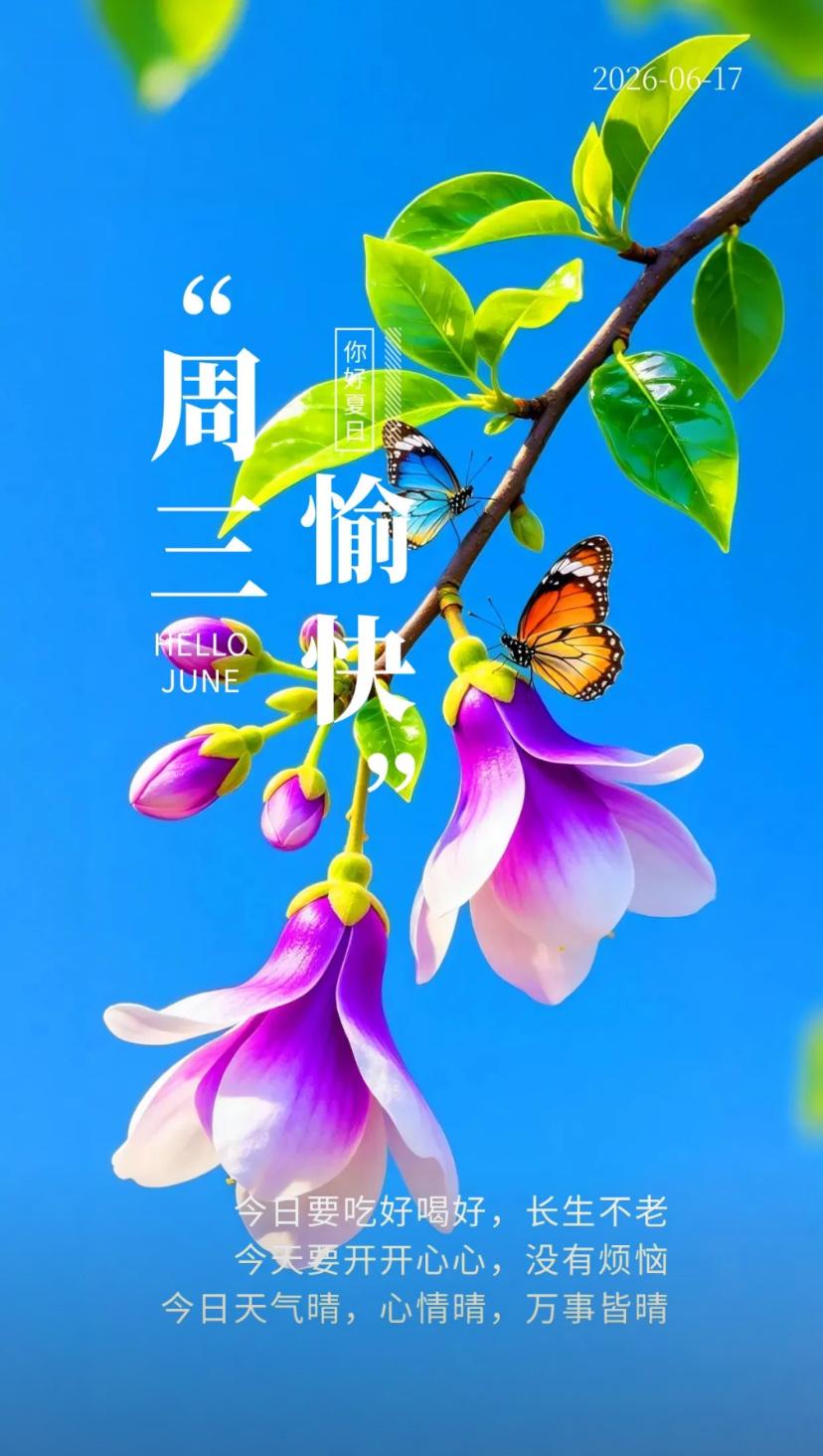夏晨问安，夏日和煦添喜乐，端阳吉运伴流年。
2026./06.17.
[微风][