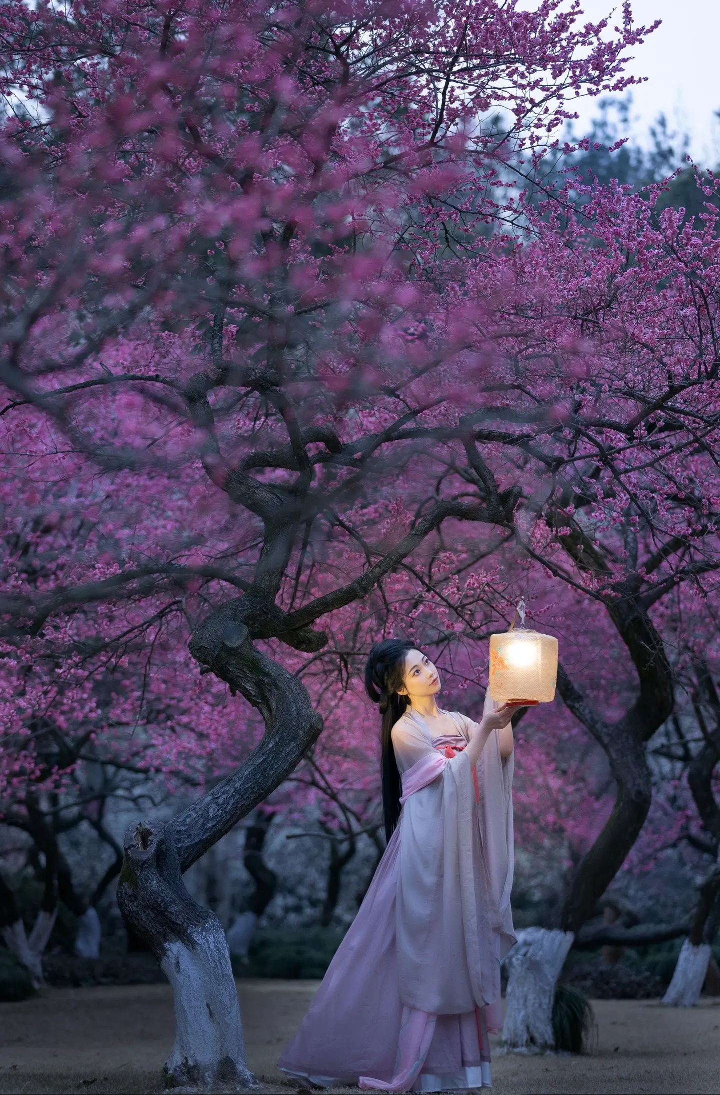 “为有暗香来”