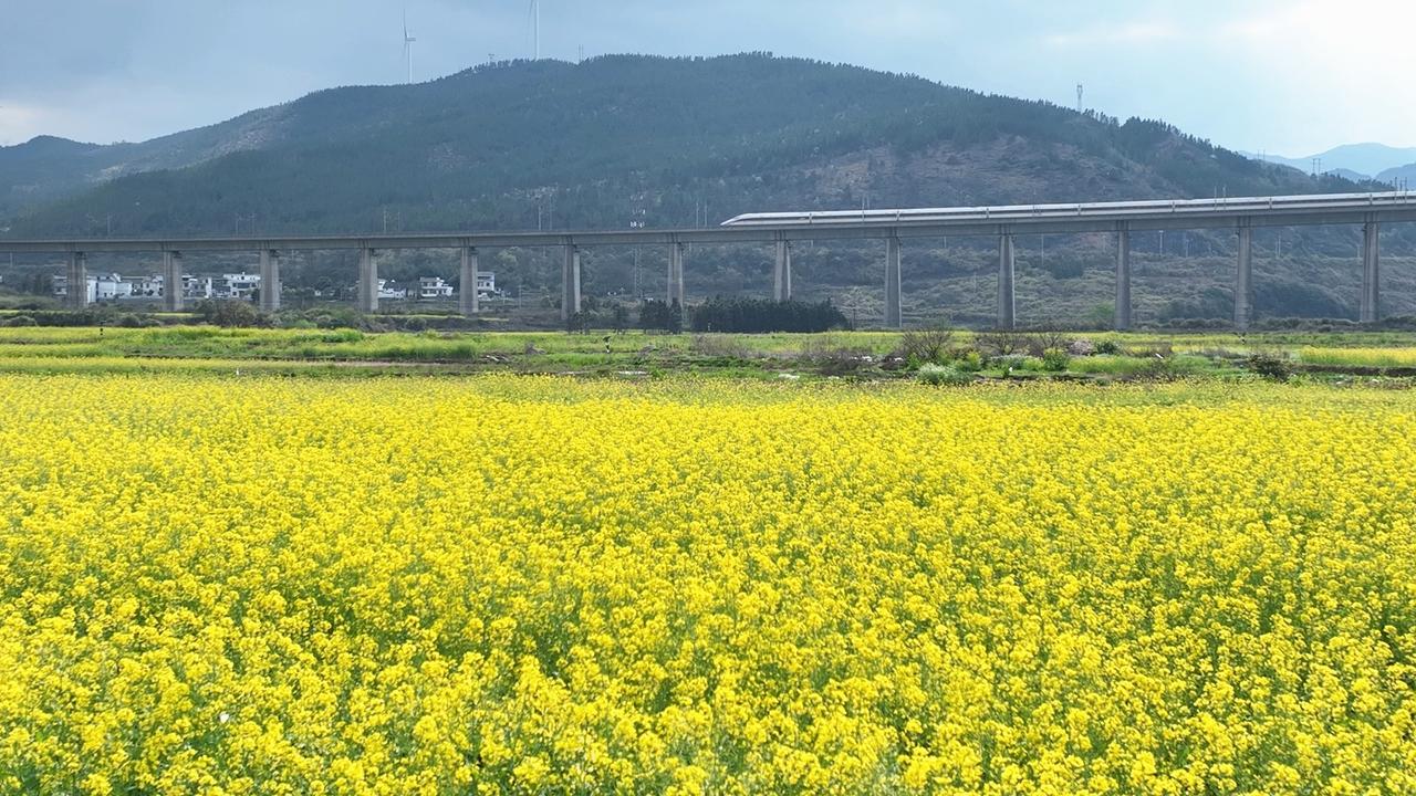 读《近思录》之3.59　

游定夫问伊川“阴阳不测之谓神”，伊川曰：贤是疑了问，