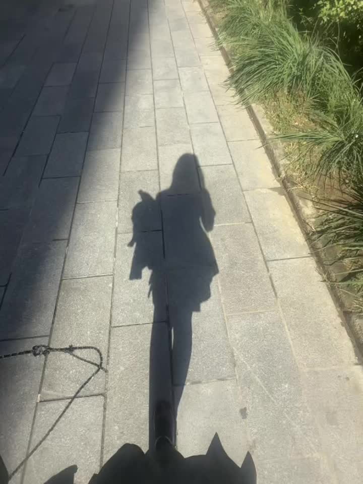 一个东西坏了都要重新买一个一模一样的 我真的很不喜欢新鲜感