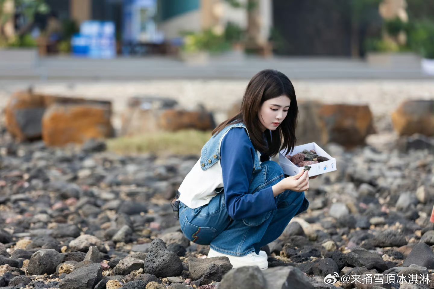 白鹿亲爱的客栈告别plog义工白鹿 可以 