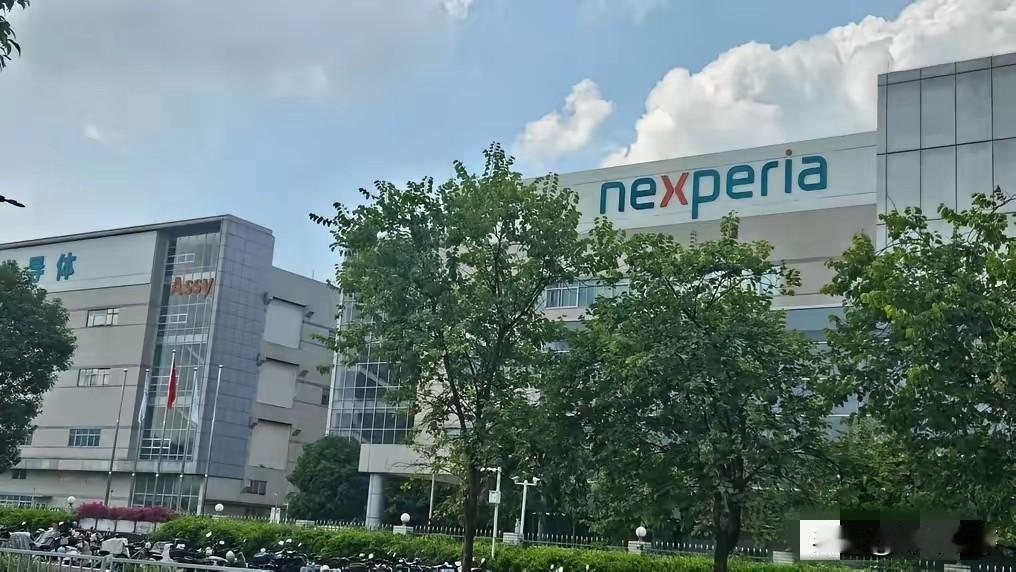 荷兰这波操作真是把国际经贸规则当厕纸了！中国商务部直接甩出