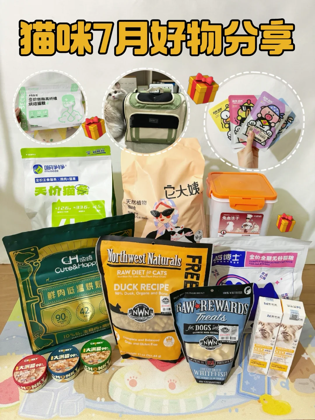 【猫咪好物篇】7月购物分享🎁