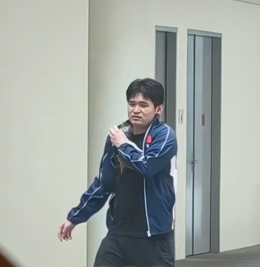 原来林诗栋突然退出澳门世界杯是因为肩膀的伤。
所以昨天看到石头退赛就觉得很可惜，