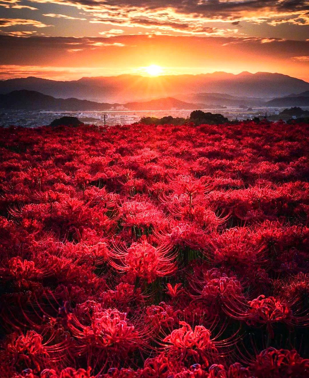 大家早！很多种情况，我们所追求的大概是内心的平静和归属。很多种情况，我们犹豫不决