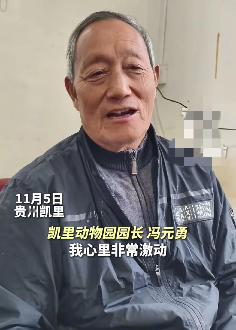 凯里动物园开通专线，冯园长很激动

随着凯里动物园的爆火，当地政府也快速行动了起