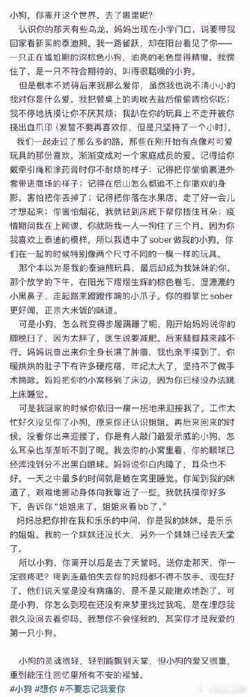 沈羽洁文笔  沈羽洁的文字总能触动心底最柔软的地方，“少年与爱永不老去”，她的文